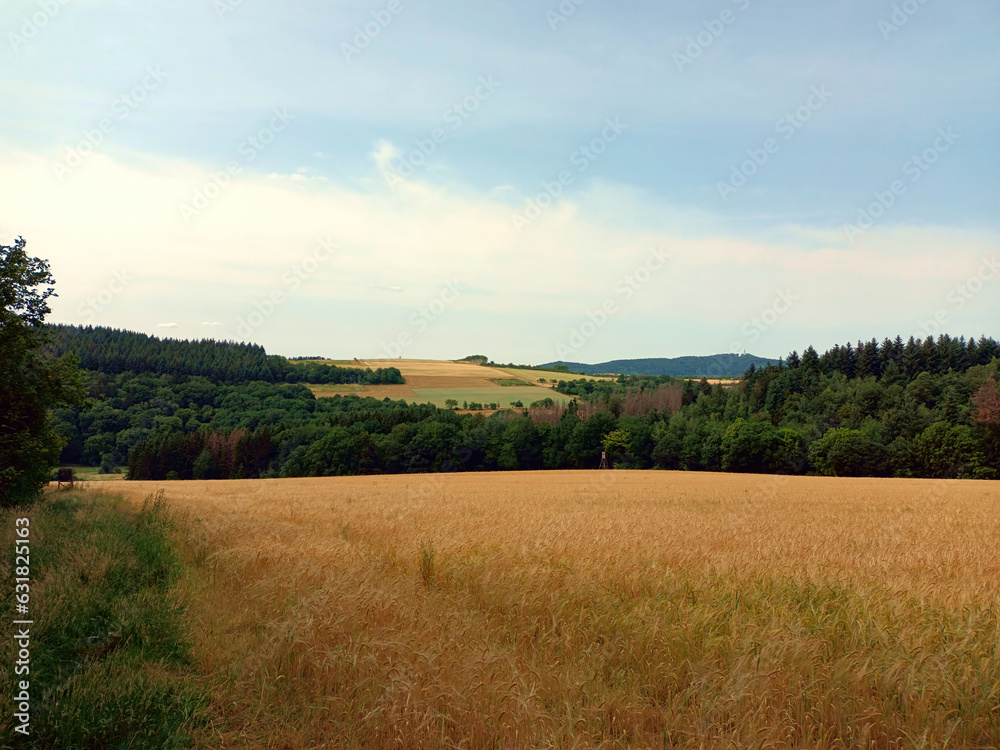 Obraz premium Hügelige Landschaft mit Feldern, Bäumen und Wiesen im Sommer im Saarland bei Berschweiler in der Gemeinde Marpingen, Landkreis St. Wendel. Aussicht vom Premium-Wanderweg Biberpfad. 