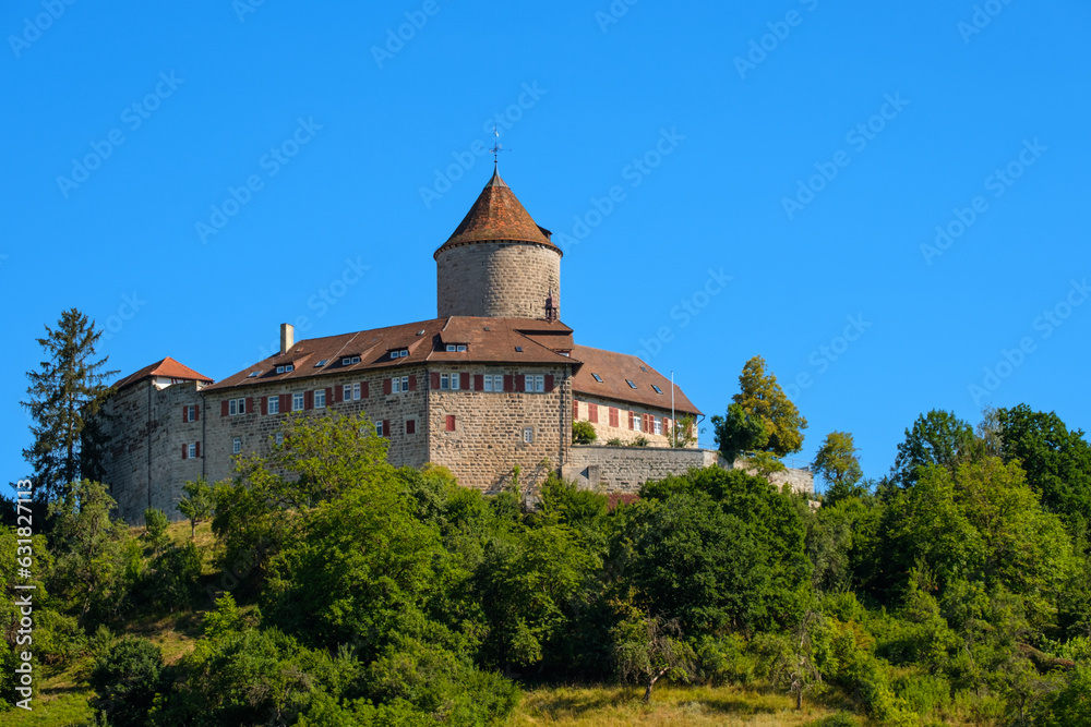Castle Reichenberg with green trees in summer
