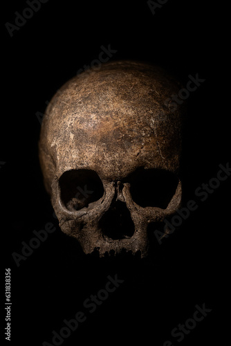 skull on black
