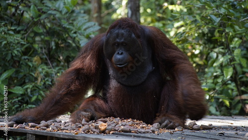 INDONESIA