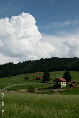 Vertical shot of the small houses in the field with fir forest trees in the background
