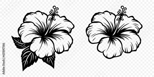 Vector Monochrome Outline Ink Hibiscus. Chinese Rose Set. Floral Design Elements. Hibiscus Flower Linear Black and White Icon, Tattoo. Hibiscus Flowers Isolated