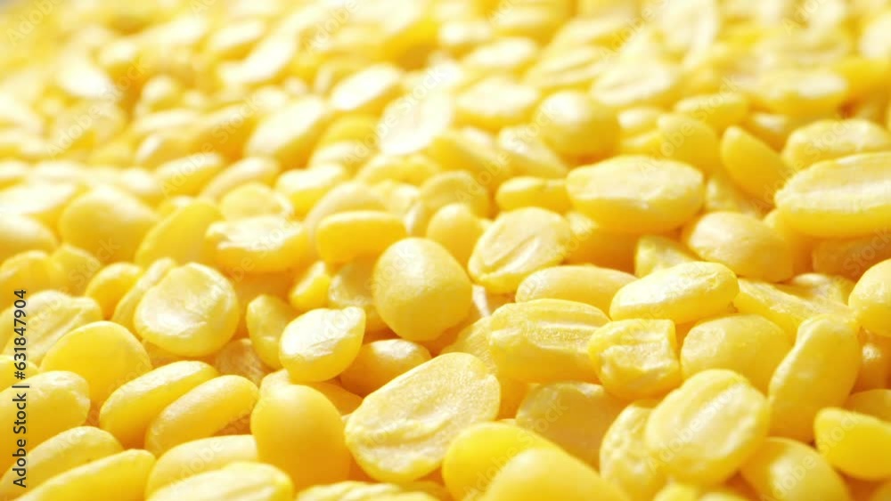 A captivating macro video showcasing peeled mung beans reveals their pale yellow, smooth texture, and diminutive size, unveiling their inherent nutritious potential.
A captivating macro video showcasing peeled mung beans reveals their pale yellow, smooth texture, and diminutive size, unveiling their inherent nutritious potential.