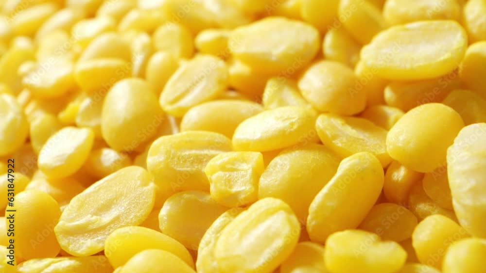 Peeled mung beans, captured through a probe lens, reveal their smooth, pale yellow texture and compact shape, offering a tantalizing glimpse of their nutritious potential.
Peeled mung beans, captured through a probe lens, reveal their smooth, pale yellow texture and compact shape, offering a tantalizing glimpse of their nutritious potential.