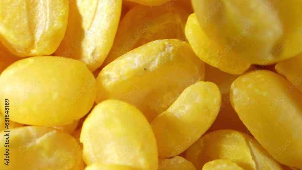 Macro video of peeled mung beans showcases their tiny, vibrant yellow seeds with a smooth texture. Revealing their nutritious essence, the beans look ready to sprout and add a healthful touch.
Macro video of peeled mung beans showcases their tiny, vibrant yellow seeds with a smooth texture. Revealing their nutritious essence, the beans look ready to sprout and add a healthful touch.