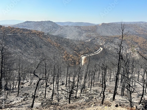 Photographie Land after recent wildfire