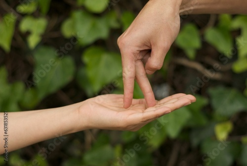 Hands of man and woman on a green wall with plants © Etrafoto/Wirestock Creators