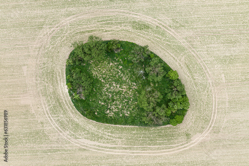 Village Country Farming Shapes In Field Aerial Drone Photo.  Trees shape in field.