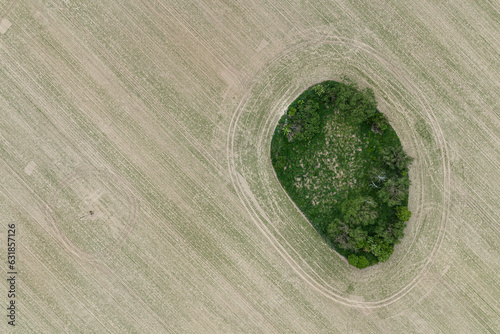 Village Country Farming Shapes In Field Aerial Drone Photo.  Trees shape in field.