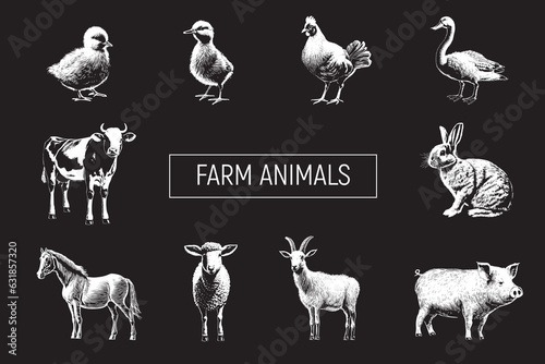 Farm Animals Collection. Hand Drawn Engraving Illustration