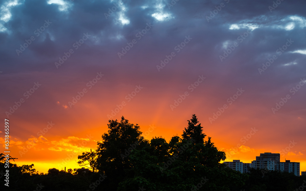 Obraz premium Multicolored bright sunset, trees silhouettes