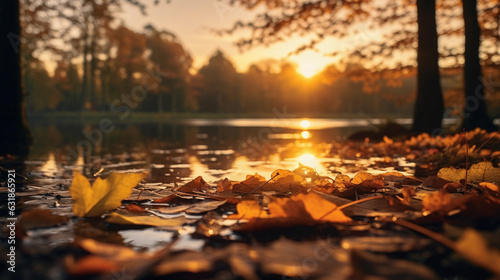 Autumn leaves © digitalkensei