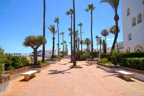 promenade with palm trees on the beach near the famous marina La Duquesa, Duquesa Port, Manilva, Andalusia, Estepona, Marbella, Malaga, Spain