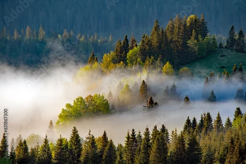 Fototapeta Poranek na Orawie