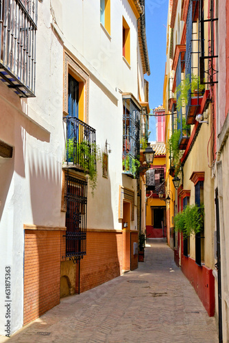 Colorful street in the beautiful old town of Sevilla  Spain
