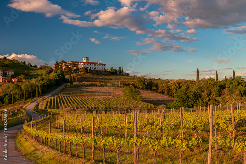 Spring sunset in the vineyards of Rosazzo