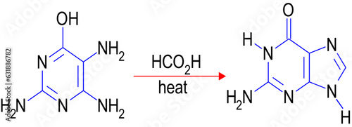 Traube purine synthesis , vector illustration