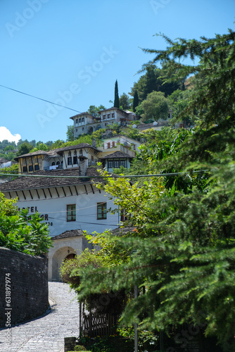 Historic stone buildings of Gjirokaster, Albania, rising on a hillside among lush green trees and blue sky on a bright summer day.