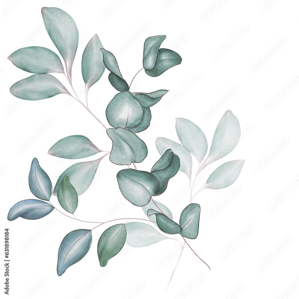 Watercolor bouquet of green eucalyptus branches and leaves isolated on ...