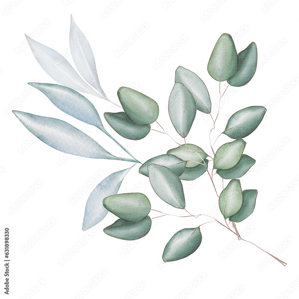 Watercolor bouquet of green eucalyptus branches and leaves isolated on ...