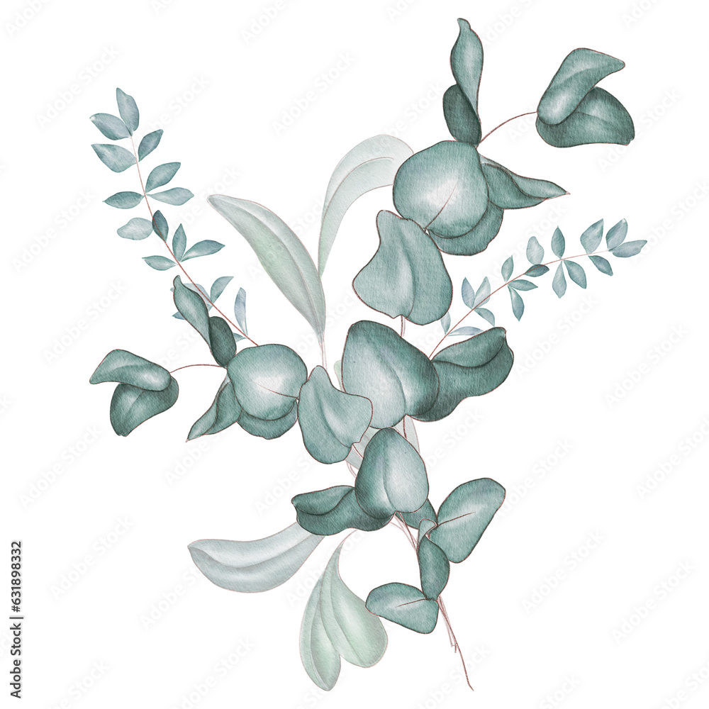 Watercolor bouquet of green eucalyptus branches and leaves isolated on ...