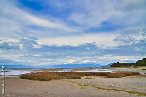 Mudflats at low tide at the coast of the Whanganui Inlet, Tasman area, in the northernmost part of South Island, New Zealand 