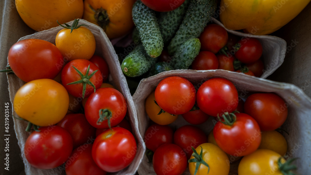 Organic tomatoes and cucumbers from an organic farm Organic tomatoes and cucumbers from an organic farm