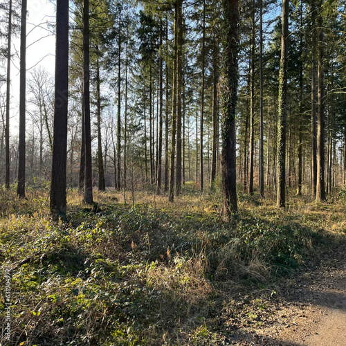 German Nature