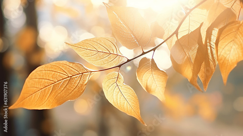 autumn abstract background  elm branch with yellow leaves on a background with a copy  space  october sky