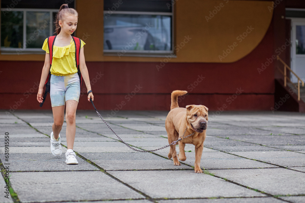 Child walking with dog. School girl after school having fun dog outdoors. Pets concept