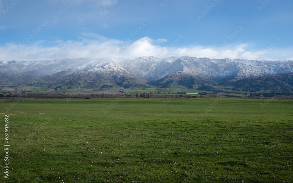 Fototapeta premium New Zealand farm landscape with green grass and mountains