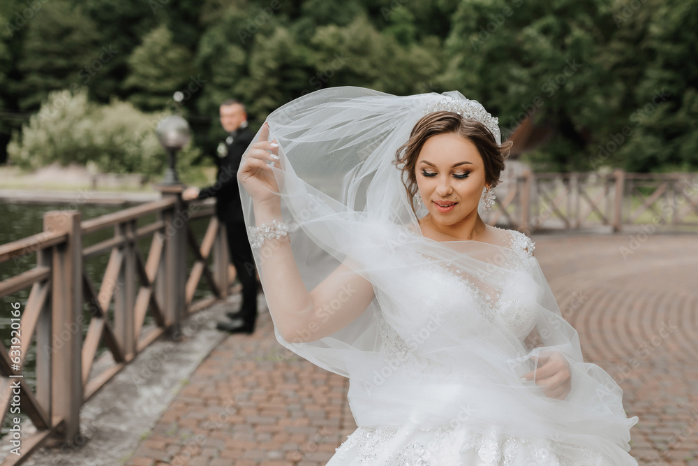 Wedding portrait. The bride in a white dress on the bridge with a flowing veil, the groom is standing behind her. Sincere smile. Wind and veil. Diadem. Wedding portrait. The bride in a white dress on the bridge with a flowing veil, the groom is standing behind her. Sincere smile. Wind and veil. Diadem.