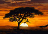 Acacia tree at sunset in Africa. Beautiful sunset behind a majestic tree