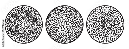 Organic cells radial pattern set. Vector grid mesh elements for design.