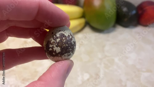 Woman Examines Cute Quail Egg