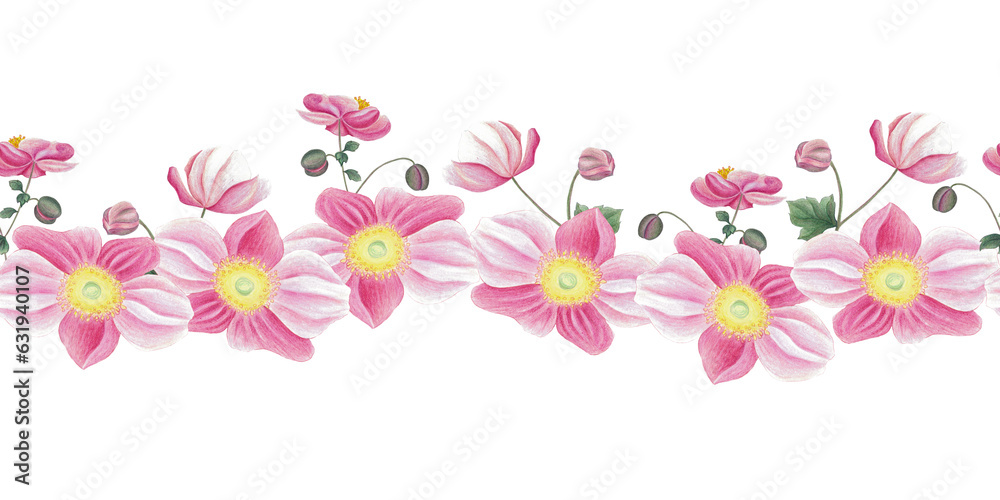 Seamless border with pink anemone, leaves and bud. Hand drawn illustration isolated on white. Botanical background for fabric, wrapping paper, wallpaper decoration.