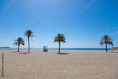 Fototapeta Naklejka Na Ścianę i Meble -  Palm trees close to the Mediterranean Sea and under the blue sky