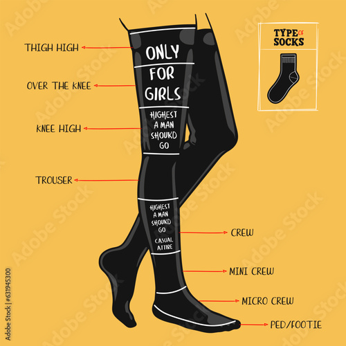 A Visual Guide to Different Types of Socks, hand drawn vector illustration