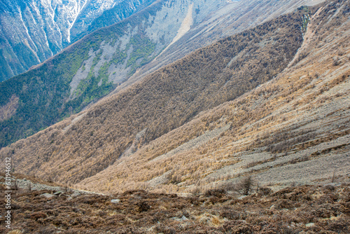 Mei County, Baoji City - Taibai Mountain National Forest Park photo