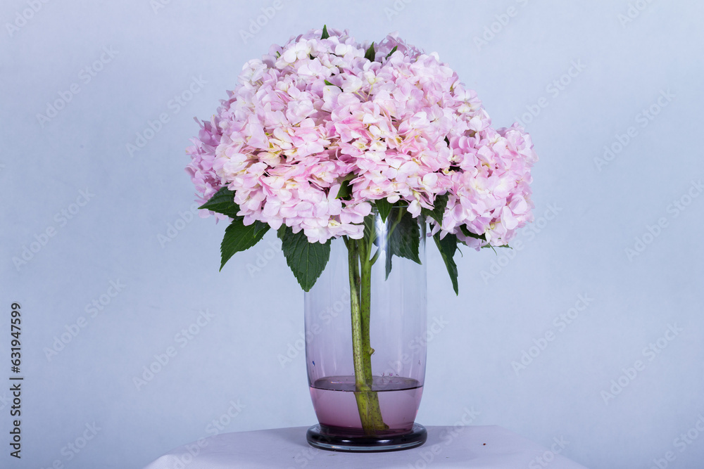 Beautiful bouquet arranged in a vase, on a white background Beautiful bouquet arranged in a vase, on a white background
