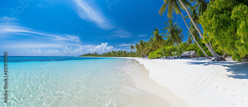 Summer beach shoreline with blue water and palm trees on the coast of Maldives Islands © Faizah