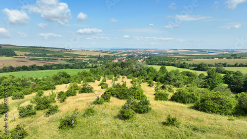 Juniper meadow orchids and old fruit trees, village blue sky and clouds, mountain virgin untouched nature UNESCO biosphere reservation Bile Karpaty White Carpathians, monument natural Drahy botany