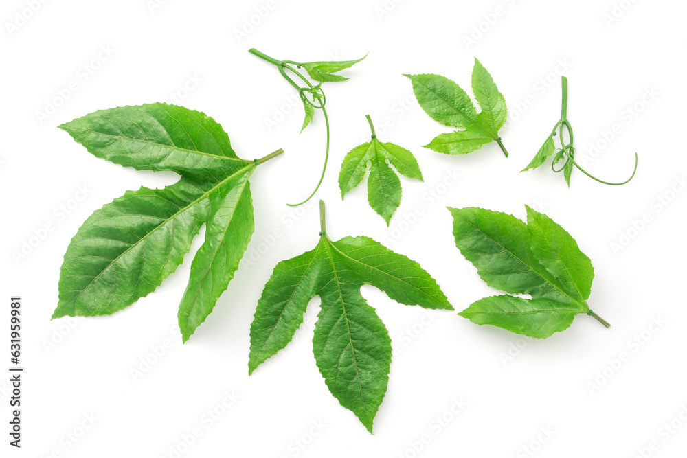 Fototapeta premium Passion fruit leaves pattern isolated on white background. top view.