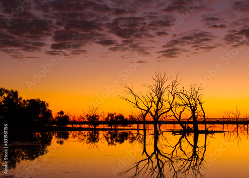 Sunrise over a lake with silhouettes of dead trees, reflections and an orange sky in Sturt National Park in New South Wales in Australia.