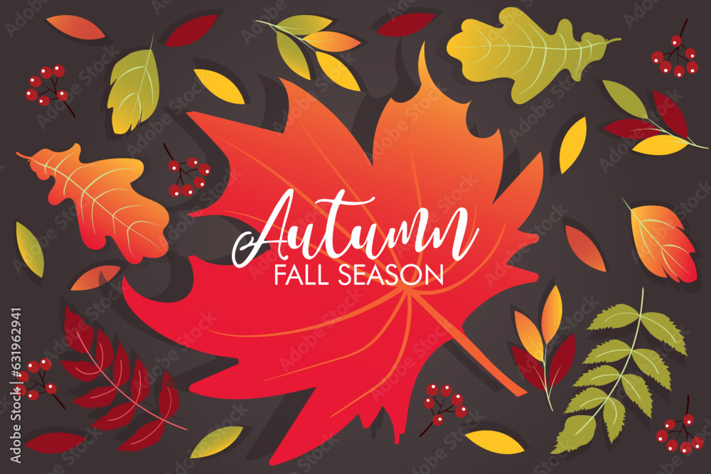 Autumn background with calorful leaves. frame can be used for poster, banner, flyer, invitation, website or greeting card. Vector illustration autumn season Autumn background with calorful leaves. frame can be used for poster, banner, flyer, invitation, website or greeting card. Vector illustration autumn season
