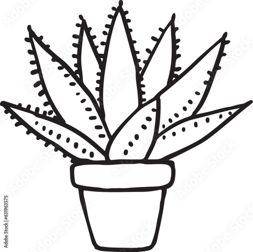 アロエの鉢植え線画