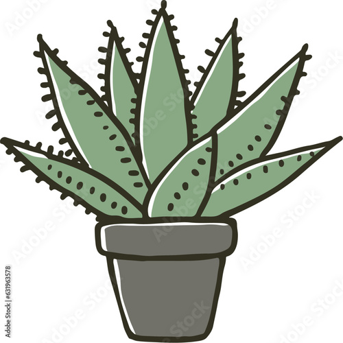 アロエの鉢植え