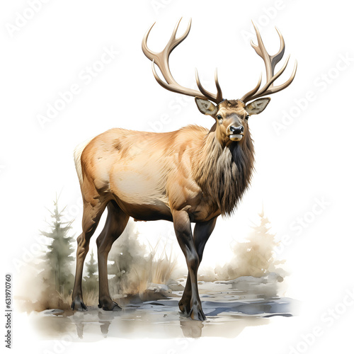 Brushstroke watercolor style realistic full body portrait of a elk on white background Generated by AI 03 © 文广 张