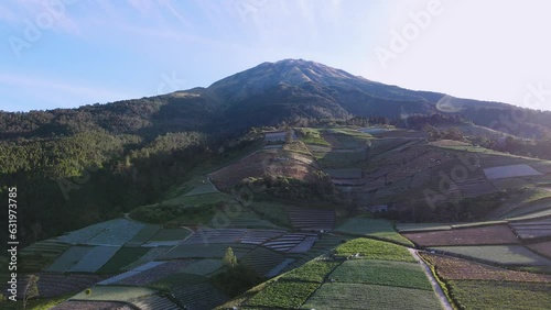 Aerial view of Large vegetable plantation on the slope of mountain with blue sky in sunny morning. . Sukomakmur, Slope of Mount Sumbing, Indonesia - Backward drone move photo