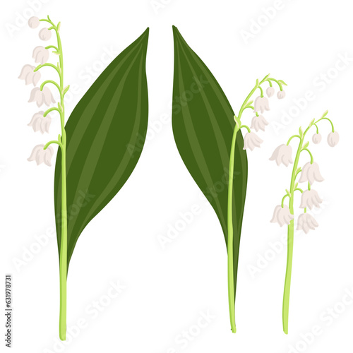 Lily of the valley Convallaria majalis  vector drawing flowers at white background  hand drawn botanical illustration